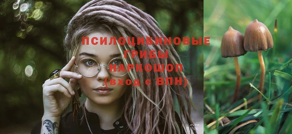 гашиш Каменногорск