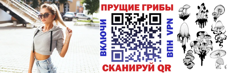 Галлюциногенные грибы Psilocybine cubensis  Купить где  Семёнов 